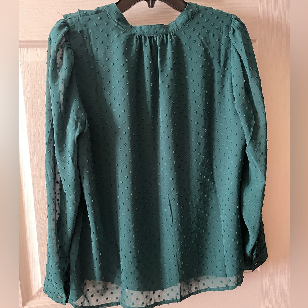 J. Crew Ruffled V-Neck Button Down Blouse Small - Picture 2 of 12